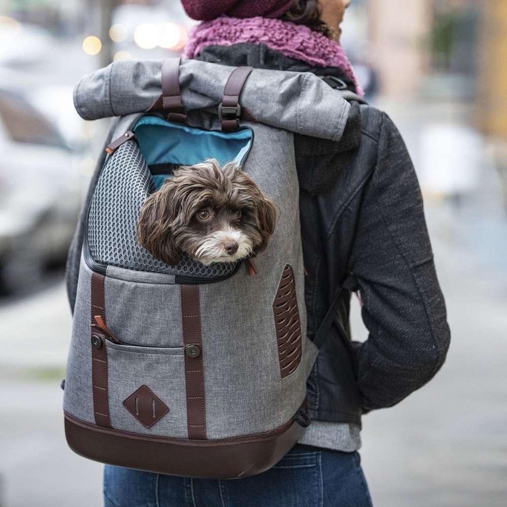 Kurgo K9 Rucksack Dog & Cat Carrier Backpack, Heather Gray